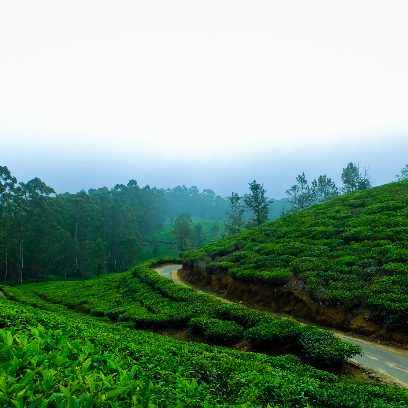 Kodaikanal